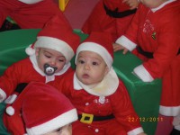 /album/galeria-de-fotos/fotos-111-jpg/